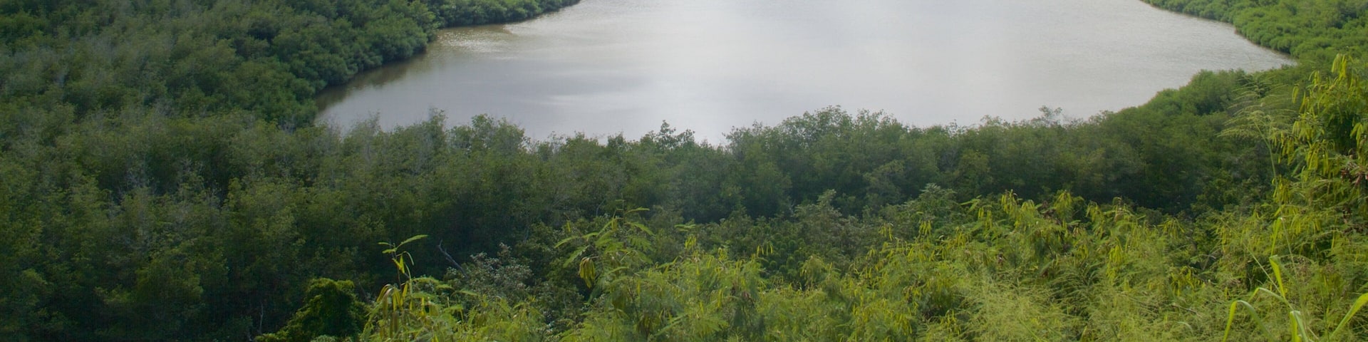 Lihue featuring mountains, a lake or waterhole and forest scenes