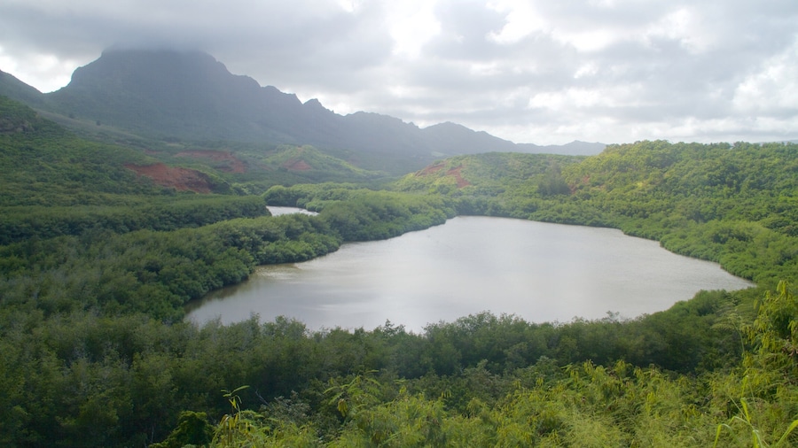 Lihue showing mountains, a lake or waterhole and forest scenes