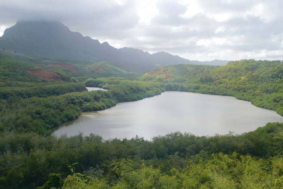 A lake surrounded by lush green hills and mountains.