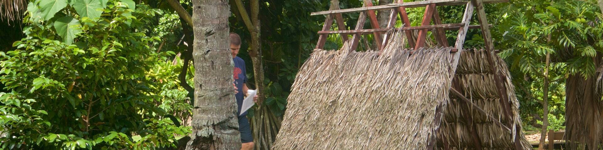 Kamokila Hawaiian Village qui includes parc et culture autochtone