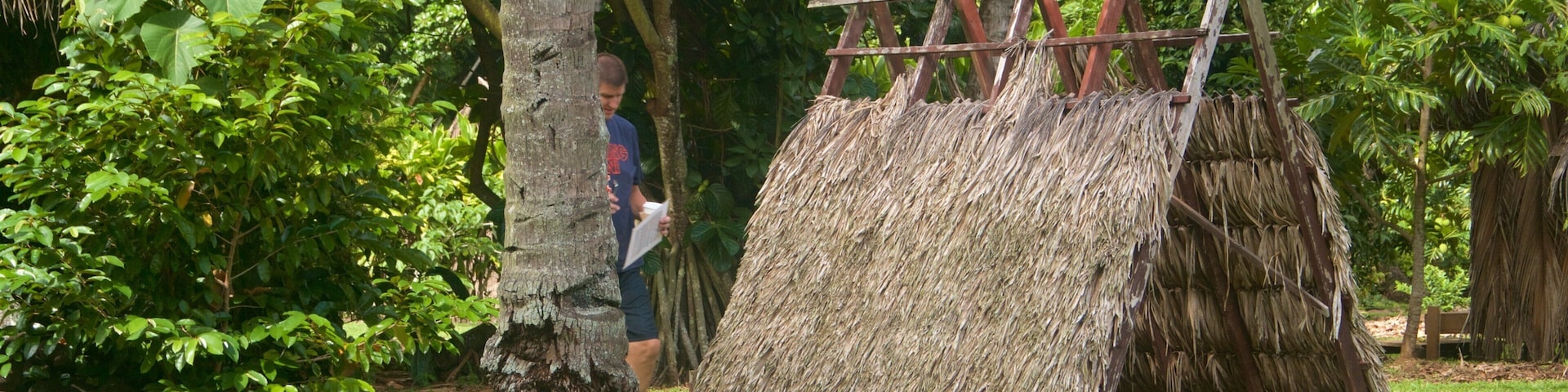 Kamokila Hawaiian Village mostrando un parque y cultura indígena