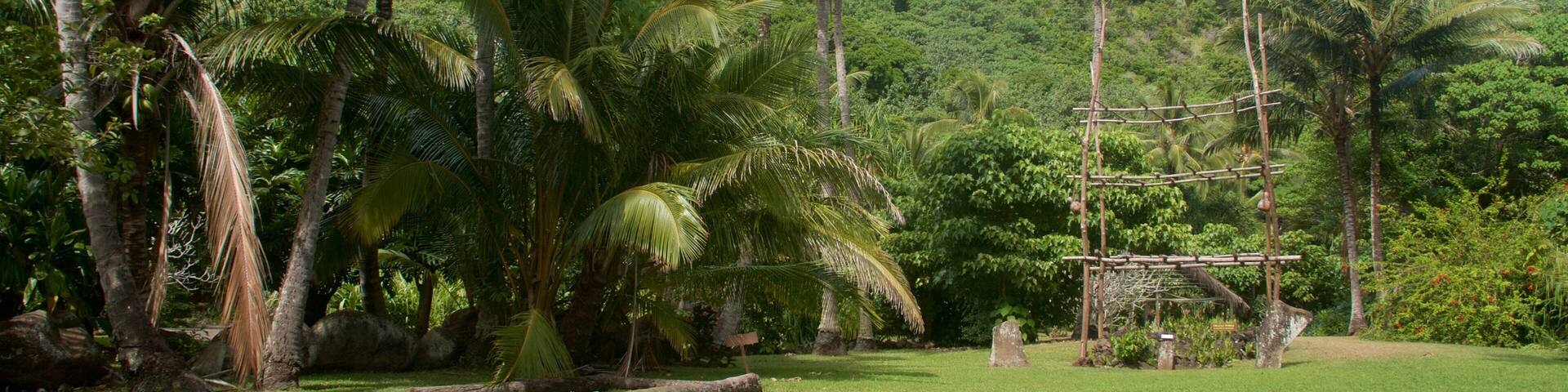 Kamokila Hawaiian Village ofreciendo un jardín y escenas tropicales