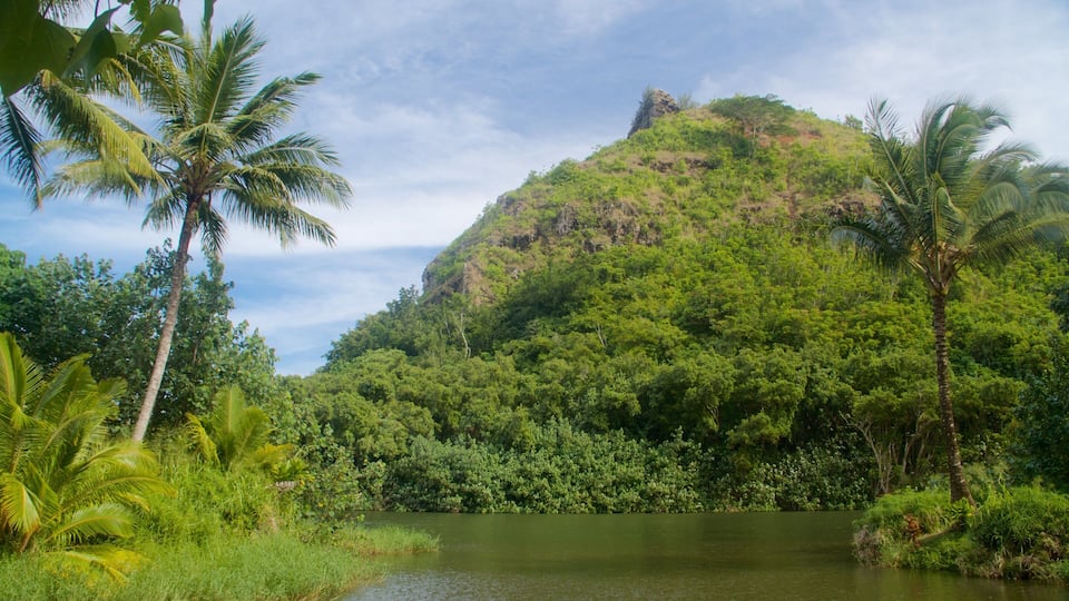 Kauai Island featuring mountains and wetlands