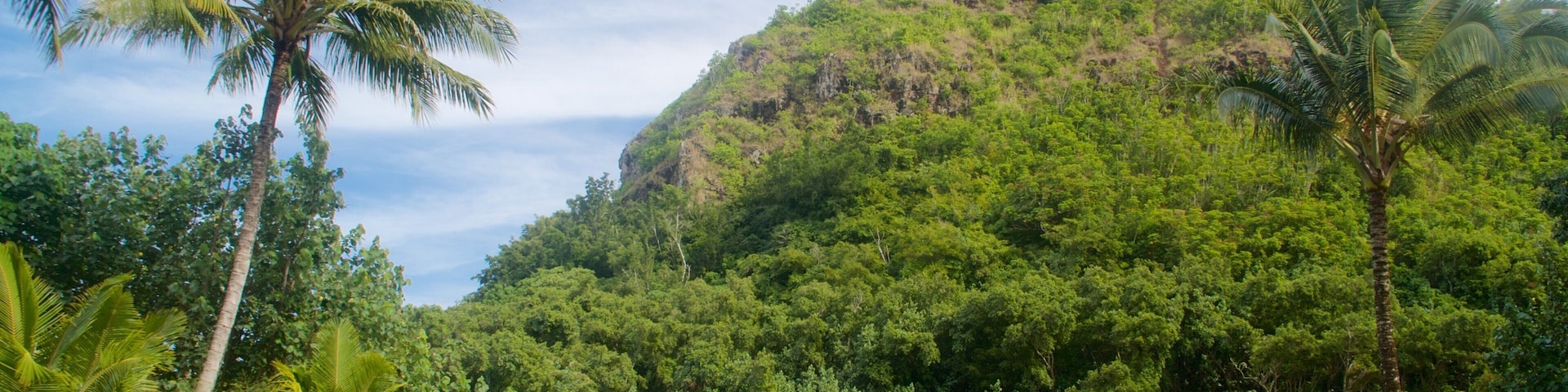 Kauai Island featuring mountains and wetlands