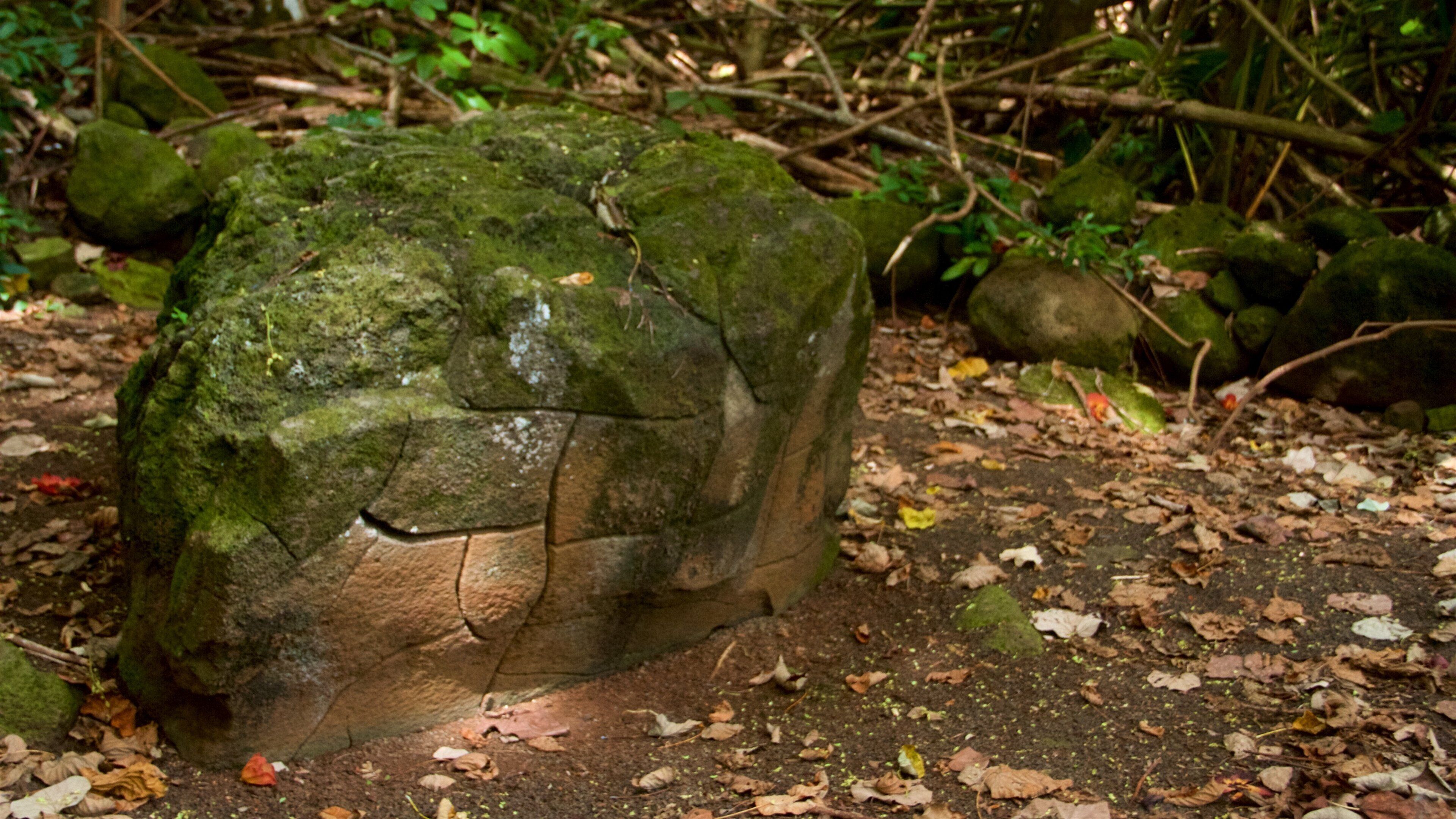 Kamokila Hawaiian Village johon kuuluu puisto