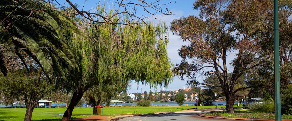 Lake Monger featuring a park