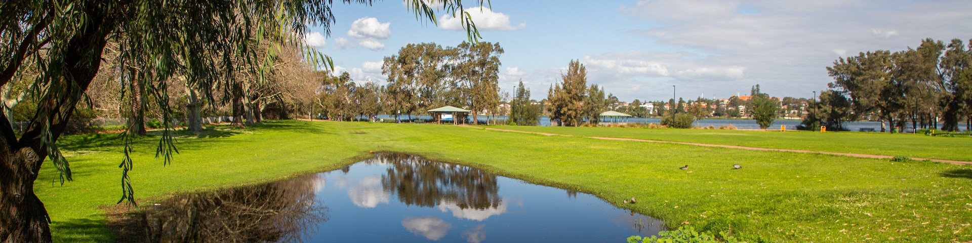 Lake Monger which includes a pond and a garden