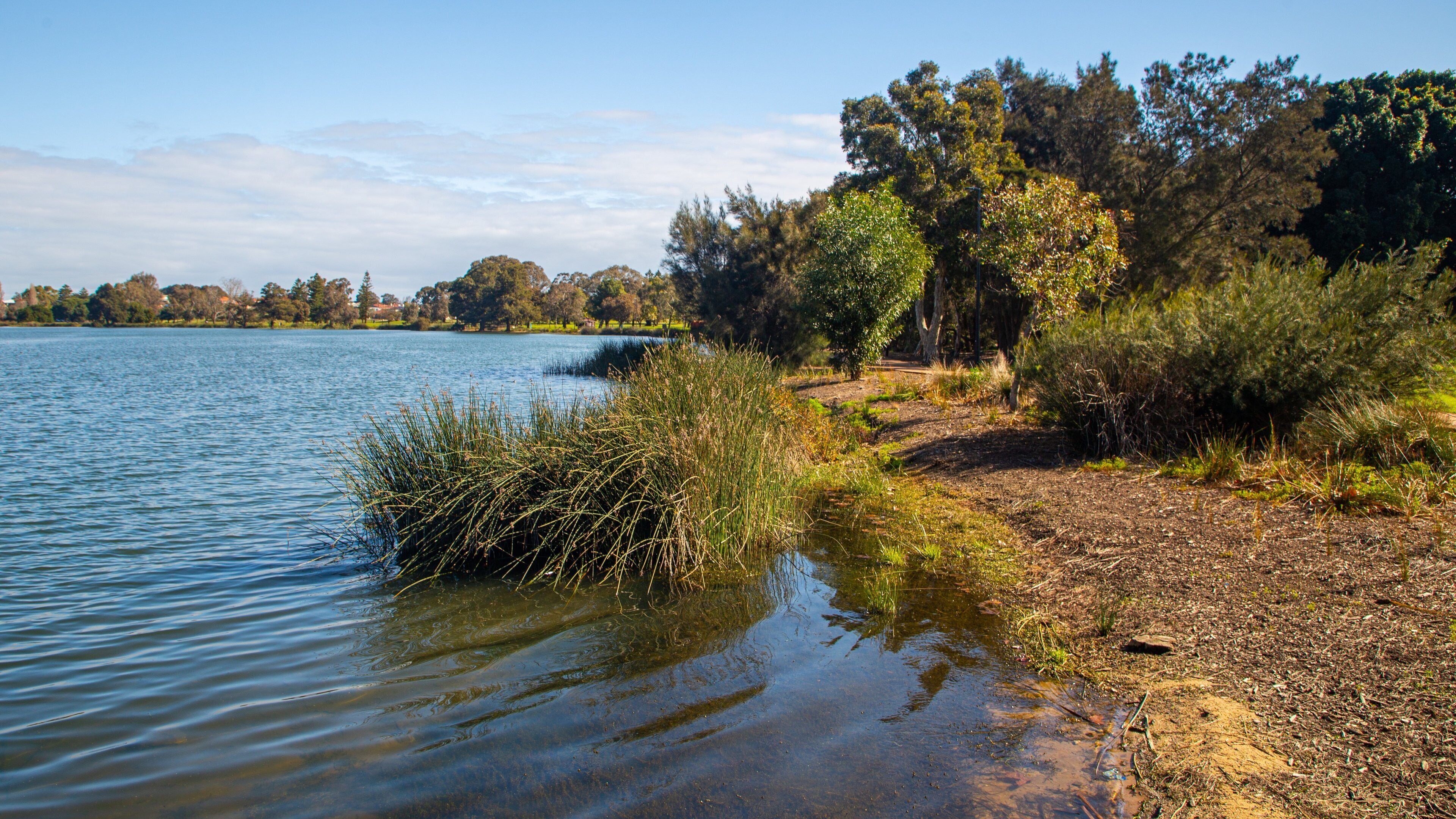 Lake Monger which includes a lake or waterhole