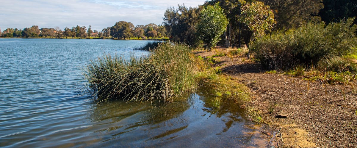 Lake Monger which includes a lake or waterhole