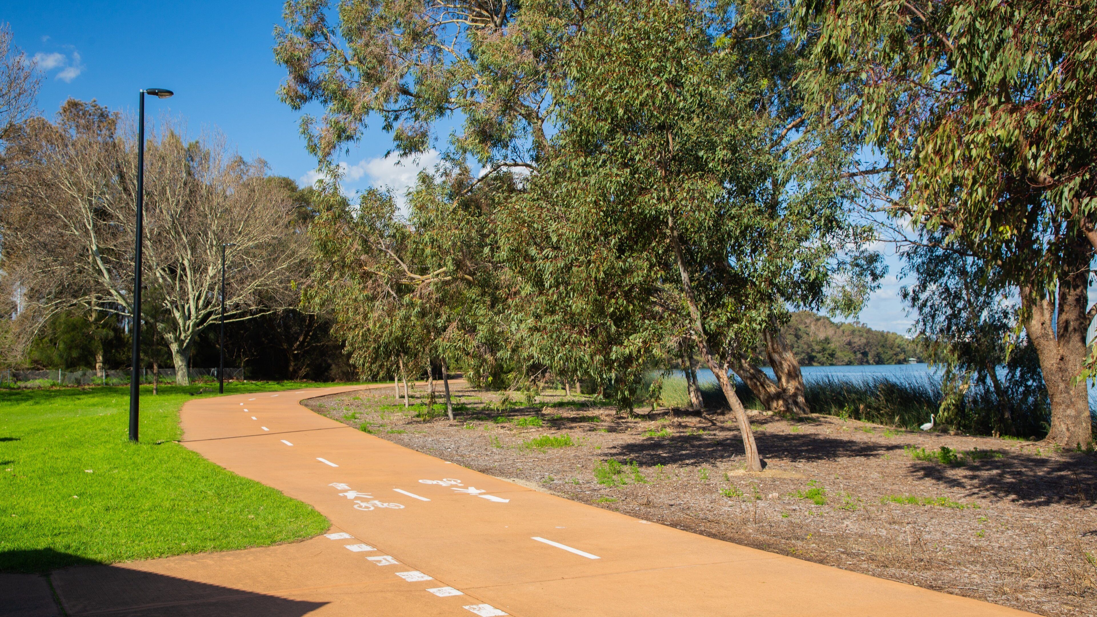 Lake Monger featuring a park