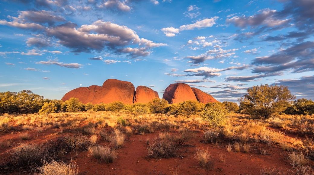 Australia landscape