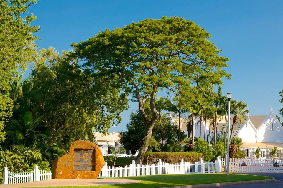 A large tree, a white picket fence, and a building with a pointed roof.