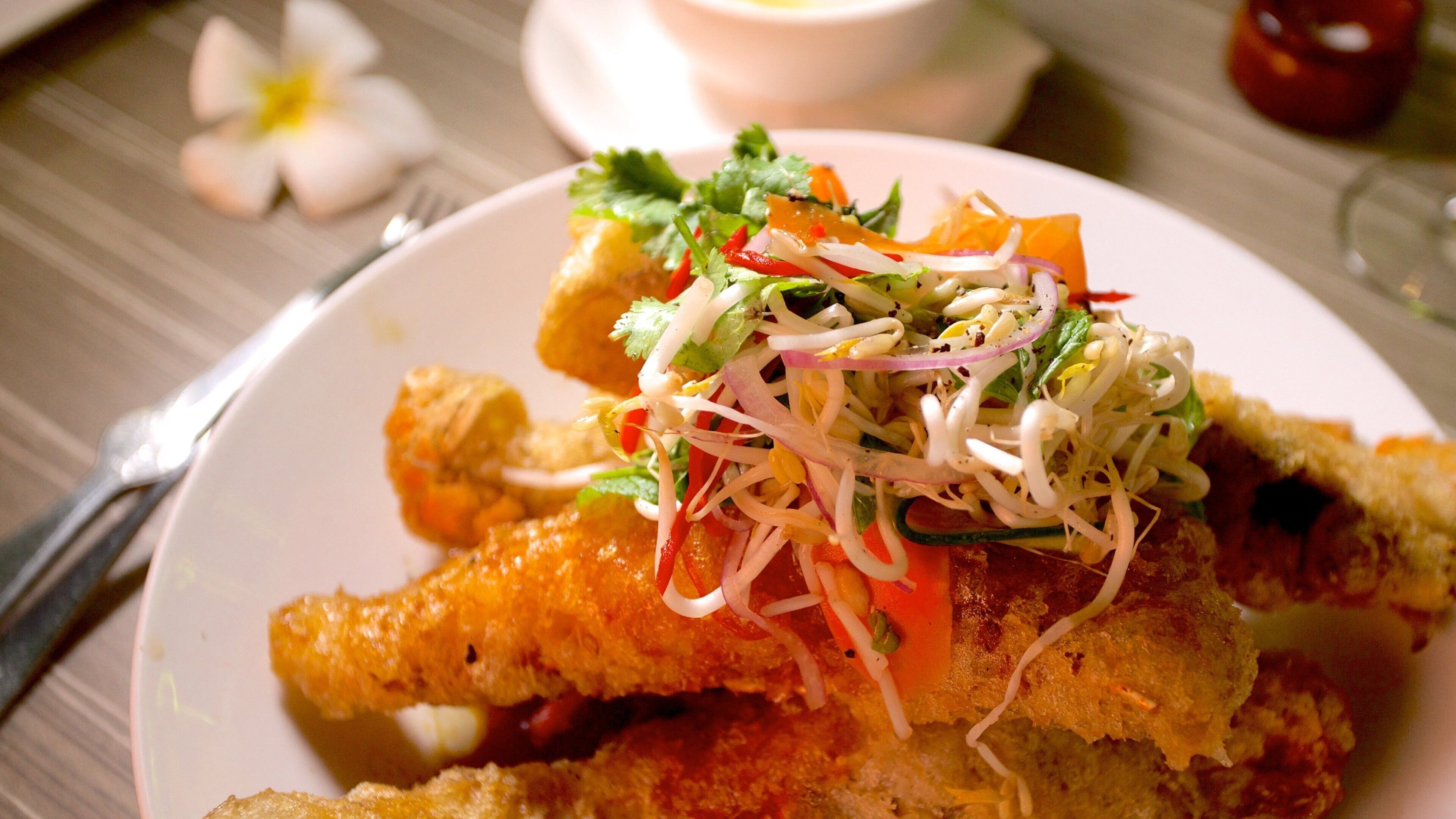 다윈 을 보여주는 음식