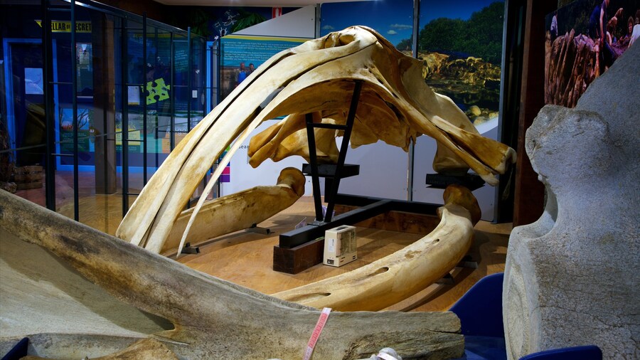 Victor Harbor che include vista interna