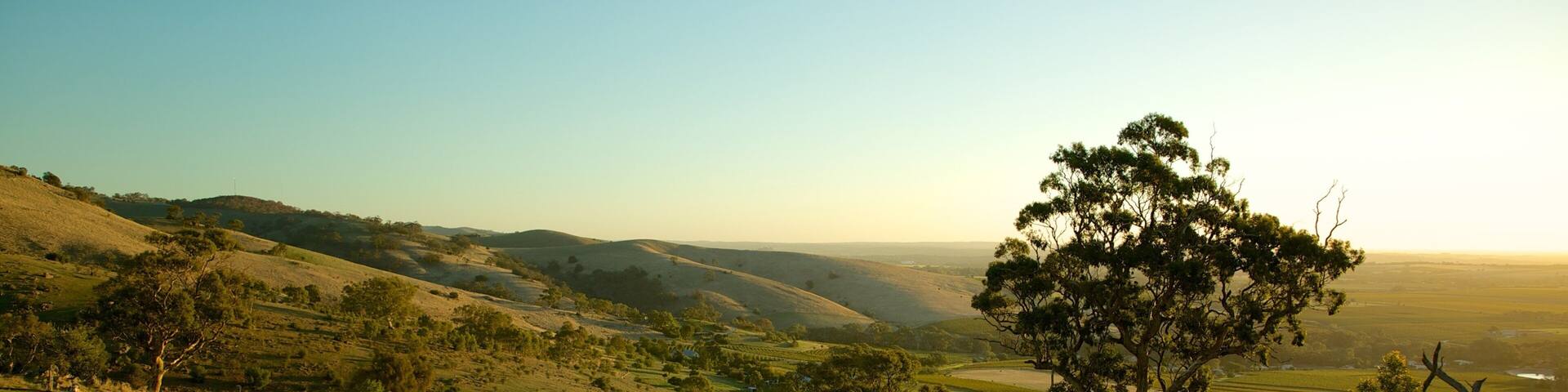 Barossa Valley featuring landscape views, tranquil scenes and a sunset