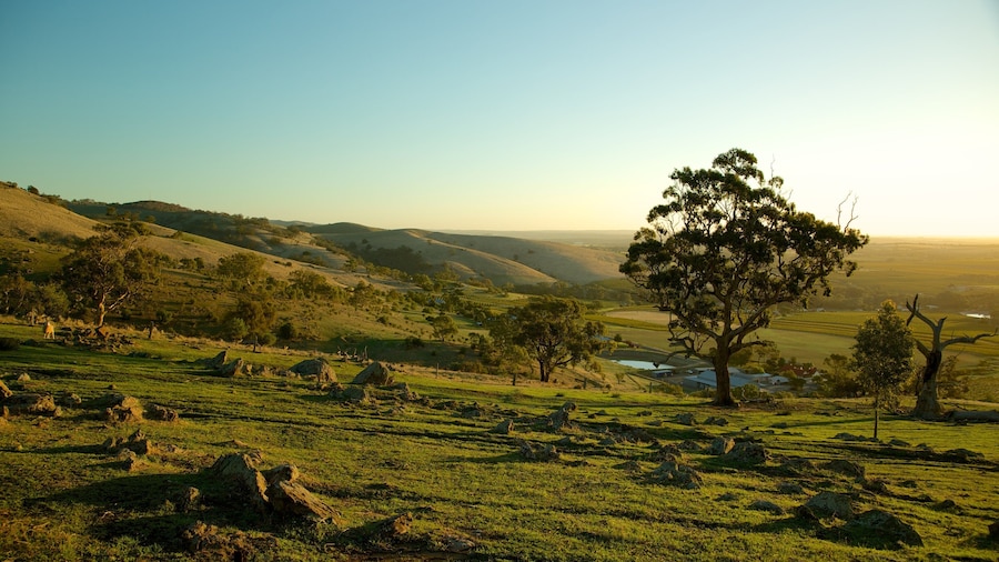 Barossa Valley เนื้อเรื่องที่ พระอาทิตย์ตก, วิวทิวทัศน์ และ ทิวทัศน์ที่เงียบสงบ