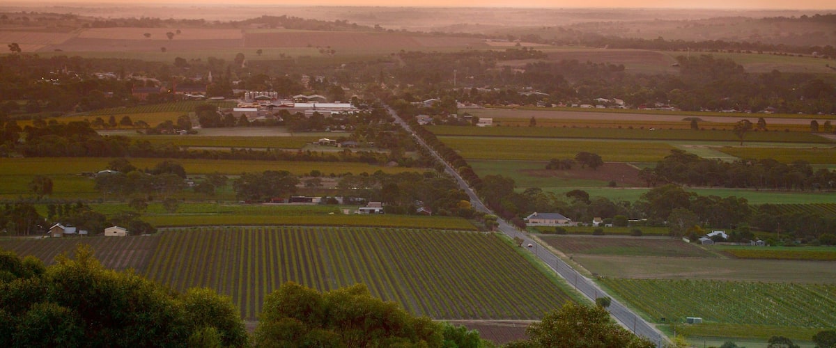 A rural landscape with fields, a road, and scattered buildings.