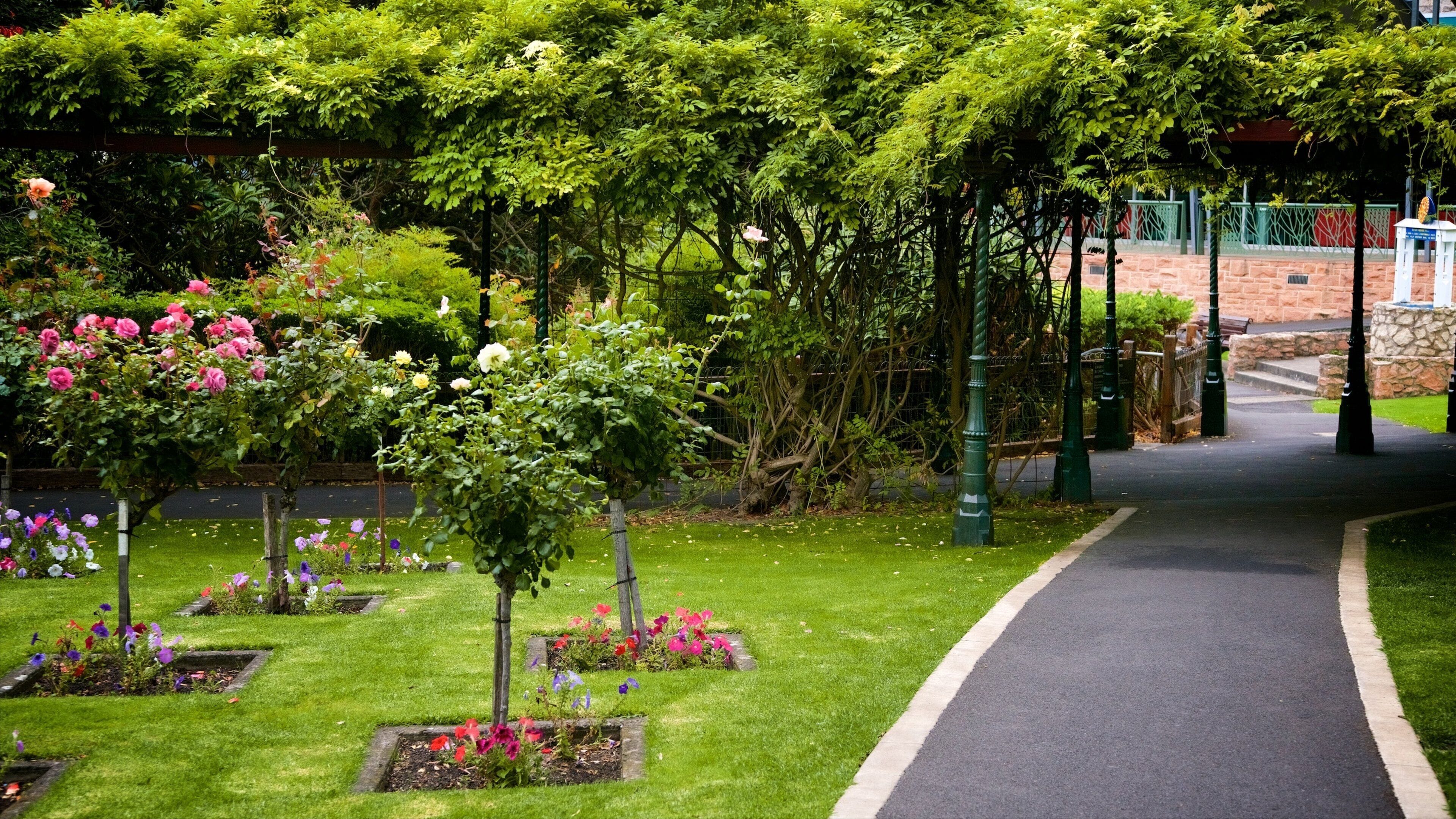 Cave Gardens featuring flowers and a park