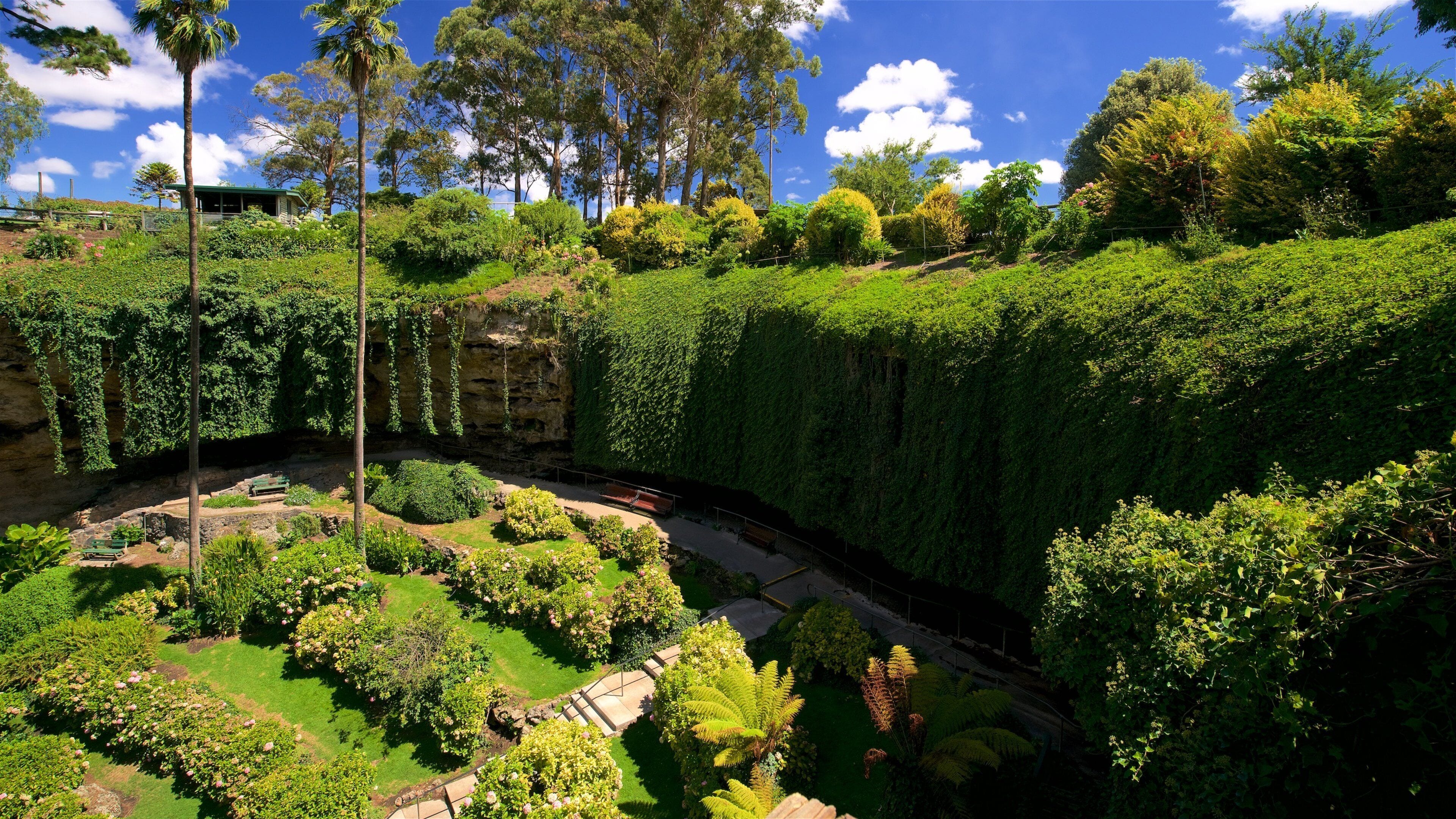 A lush garden with a variety of plants and trees, a pathway, and a bench.