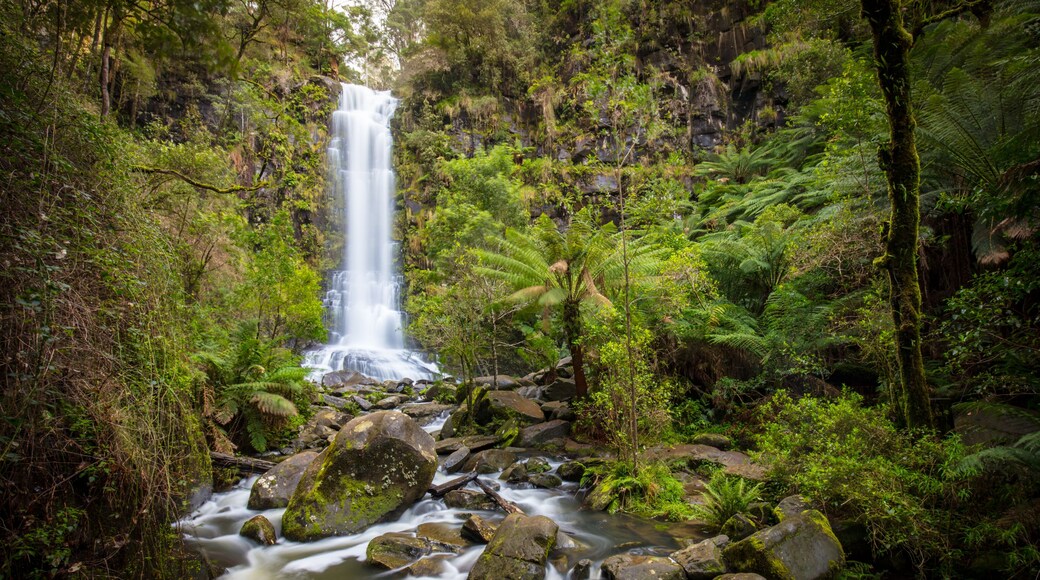 Erskine Falls