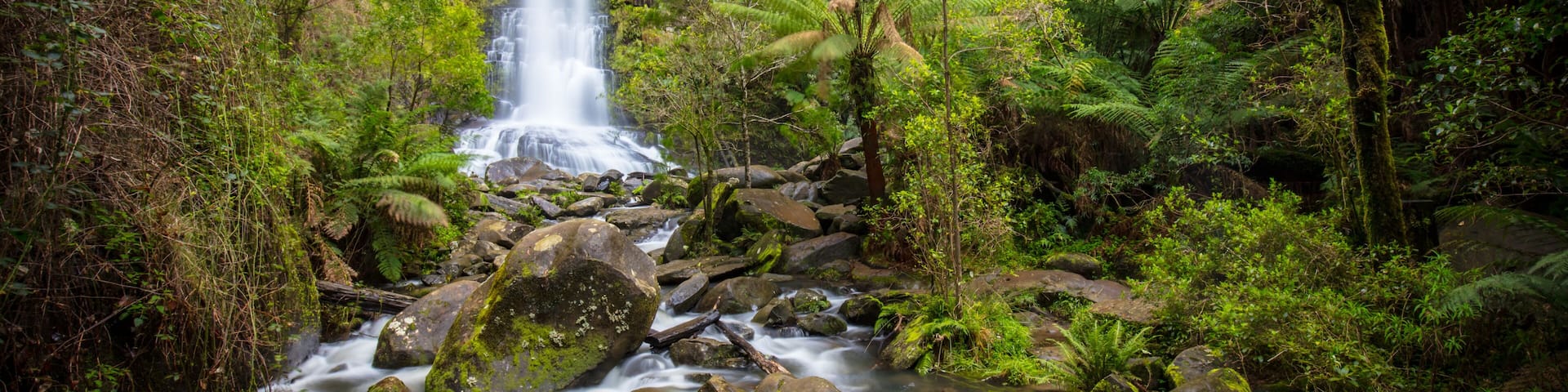 Una cascada rodeada de abundante vegetación y helechos.
