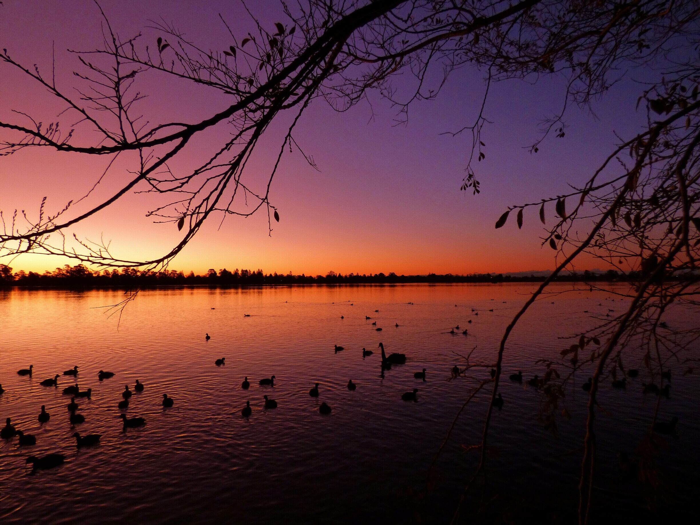 Winter Sunset - Lake Wendouree, Ballarat City Victoria Australia