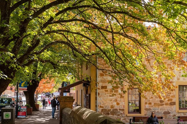 Hahndorf Academy & Heritage Museum featuring heritage elements