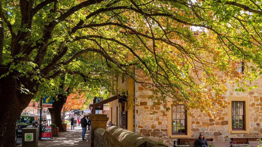 Hahndorf Academy & Heritage Museum featuring heritage elements