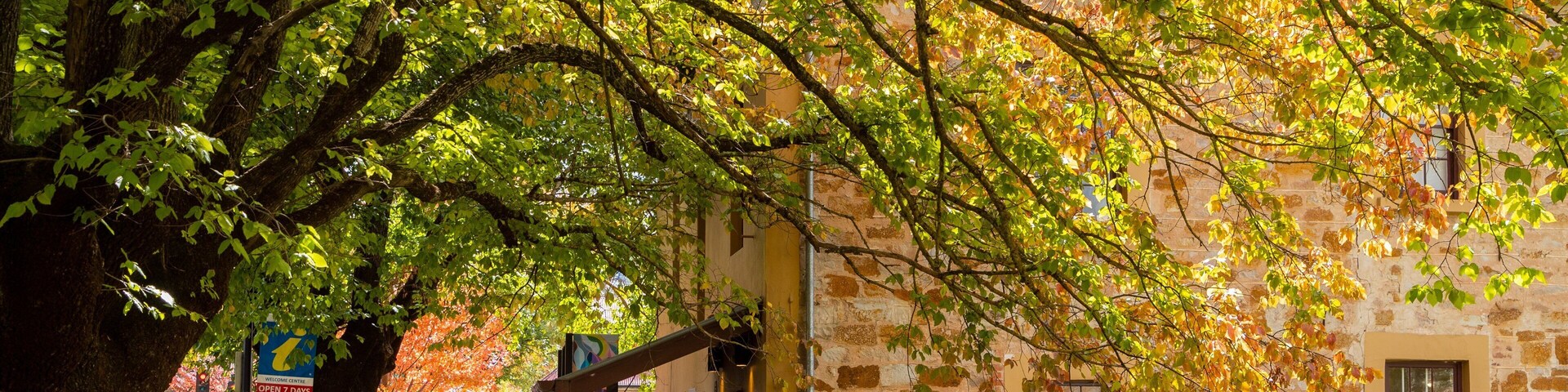 Hahndorf Academy & Heritage Museum featuring heritage elements