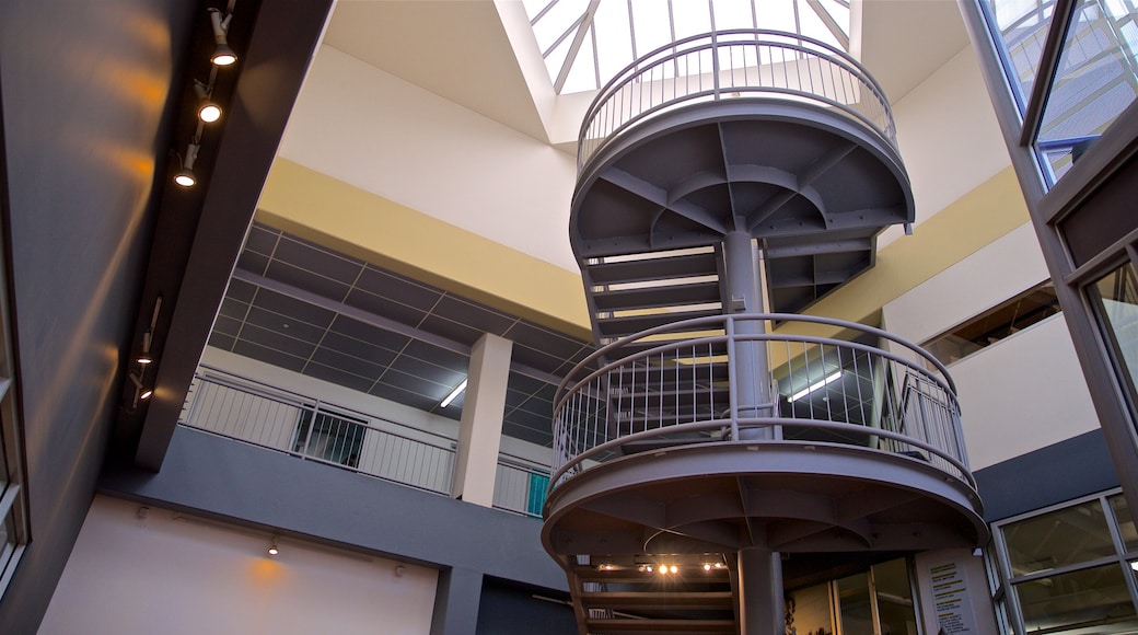 Jam Factory Contemporary Craft & Design Centre showing interior views