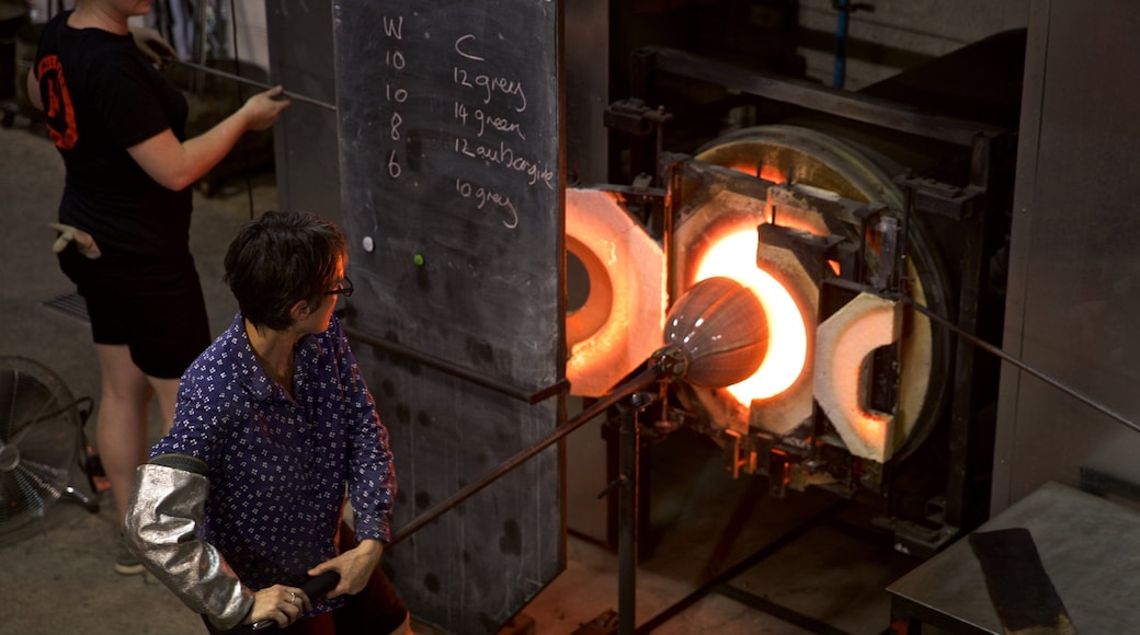 Jam Factory Contemporary Craft & Design Centre which includes interior views as well as an individual femail