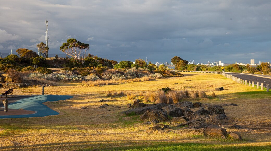 Point Gellibrand Coastal Heritage Park featuring a park