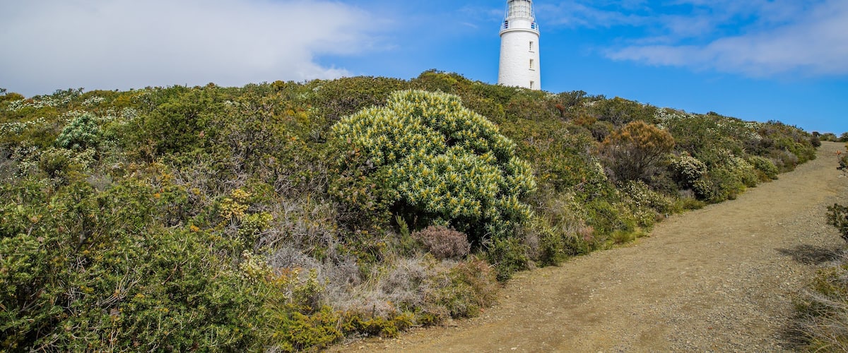 South Bruny