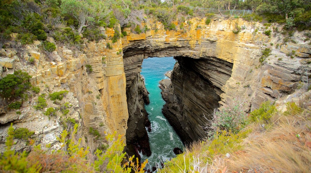Southeast Tasmania showing landscape views, rocky coastline and a garden