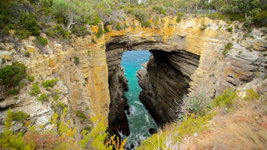 Southeast Tasmania featuring a garden, landscape views and rocky coastline