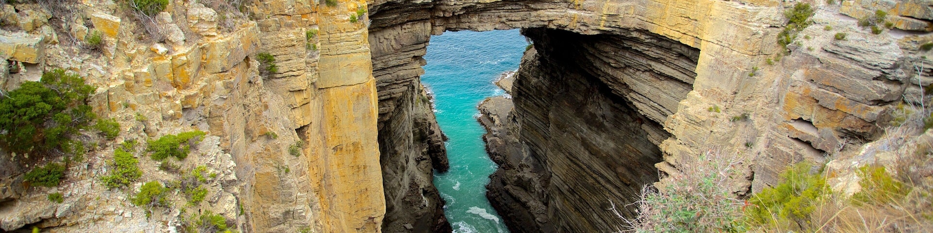 Sudeste da Tasmânia mostrando paisagem, litoral acidentado e um jardim