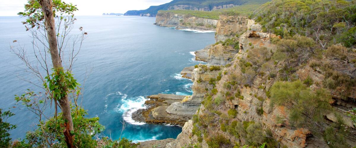 Tasman National Park featuring landscape views and rocky coastline