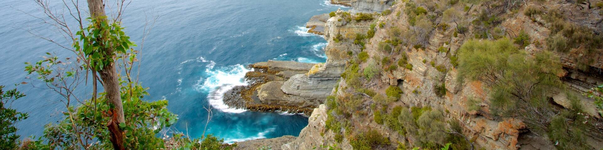 Tasman National Park featuring landscape views and rocky coastline