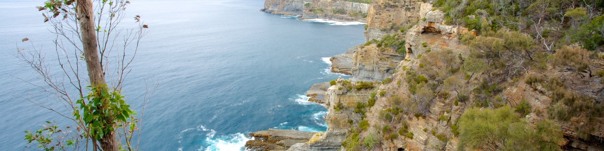 Tasman National Park featuring landscape views and rocky coastline