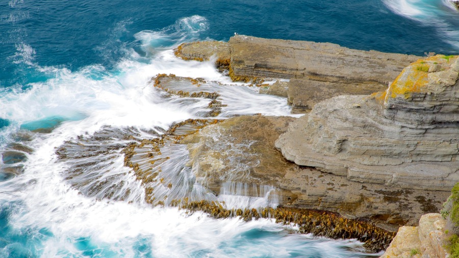 A coastal cliff with waves crashing against it.