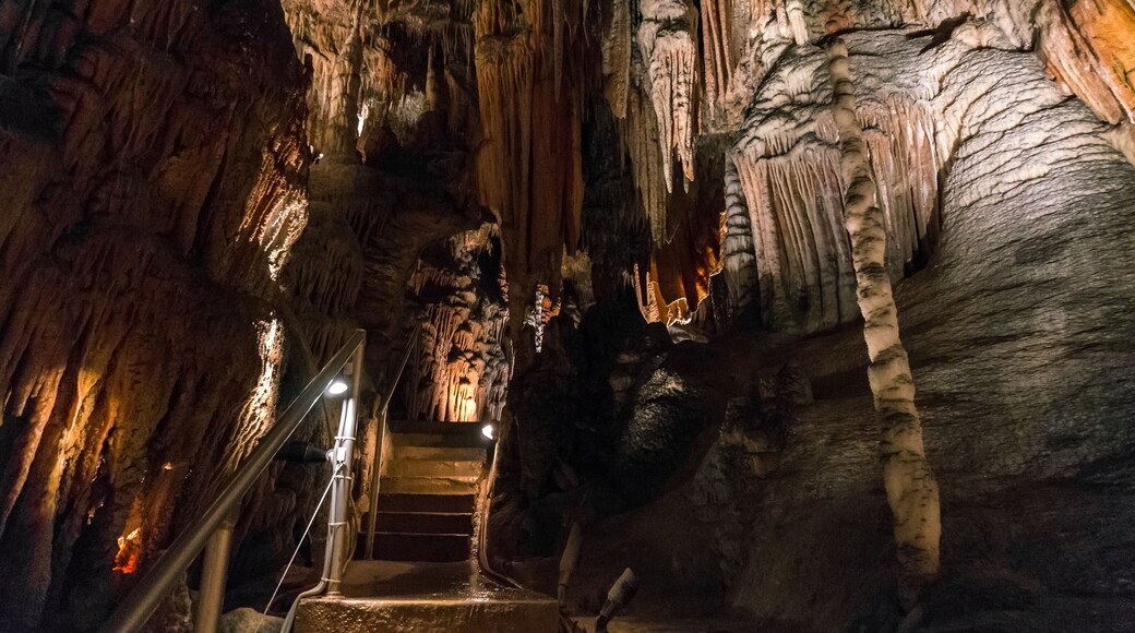 Impressive rock formations inside Jersey cave in Australia