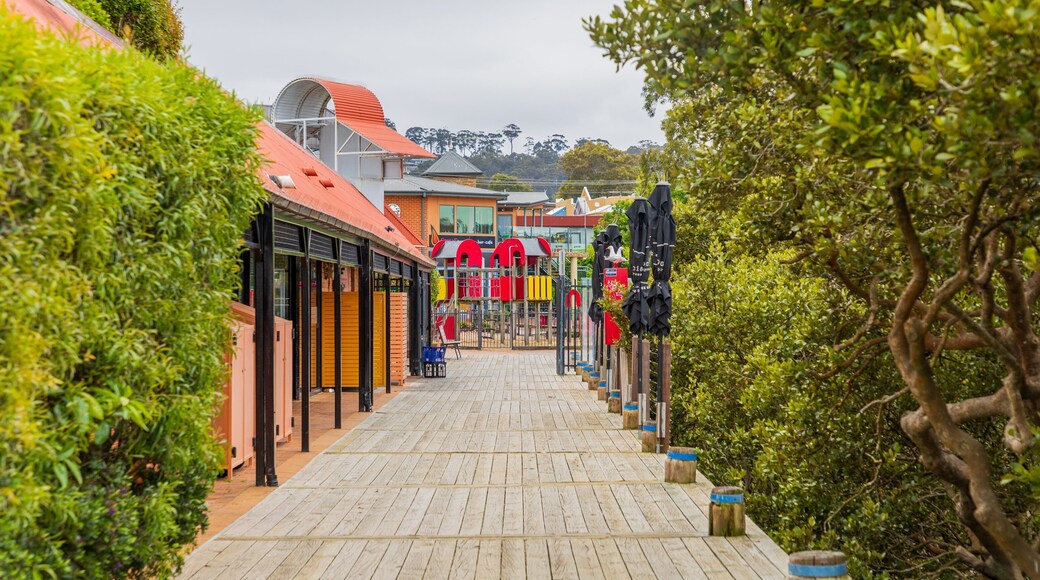Merimbula Boardwalk