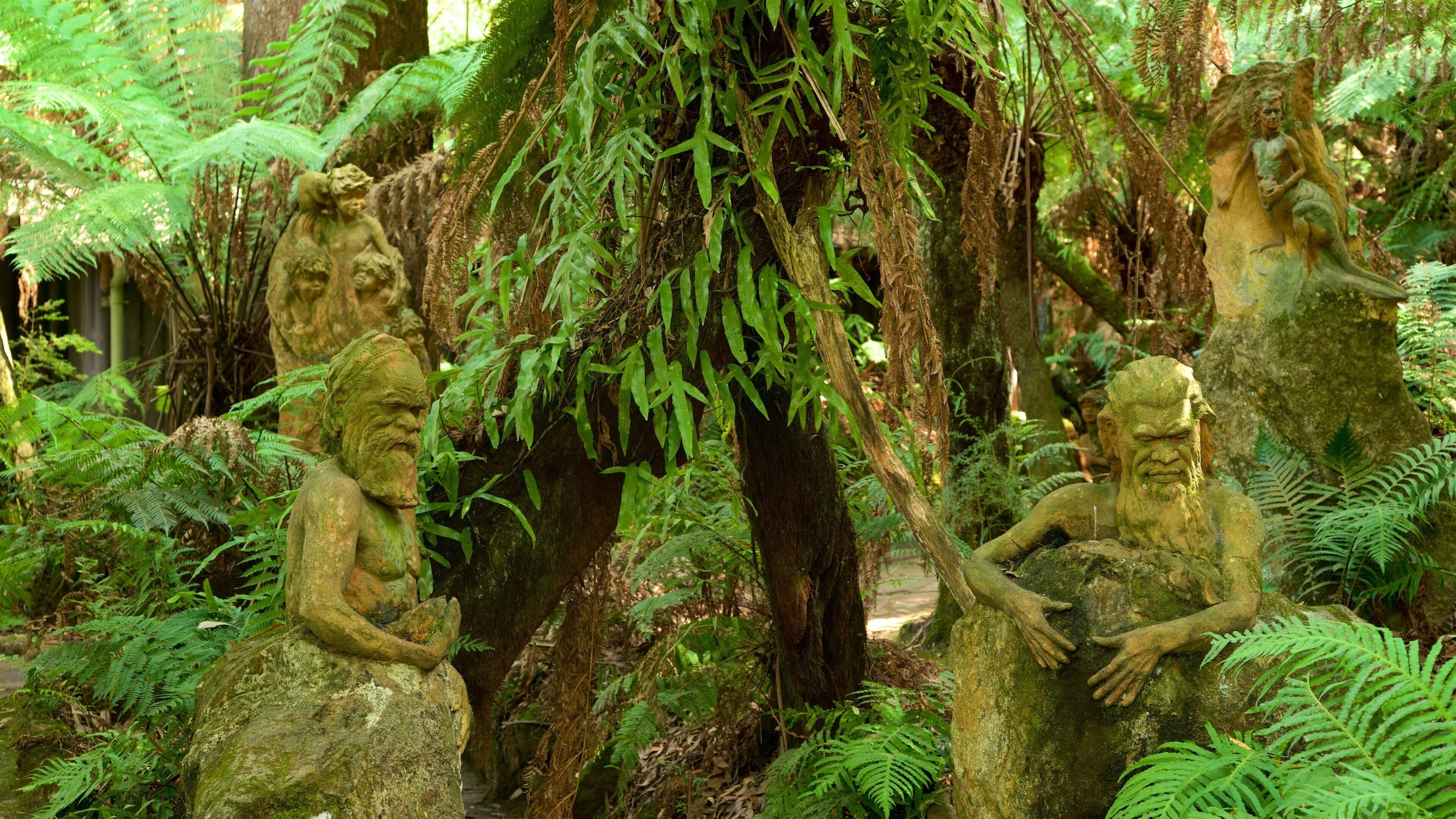 William Ricketts Sanctuary featuring rainforest