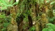 威廉·里基茨保护区