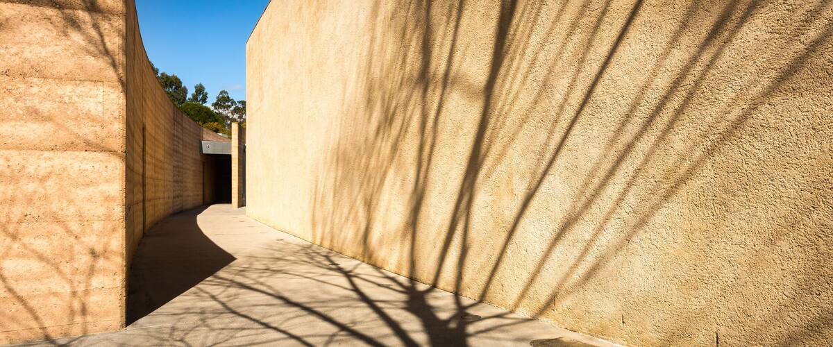 Tarrawarra - The Wall
