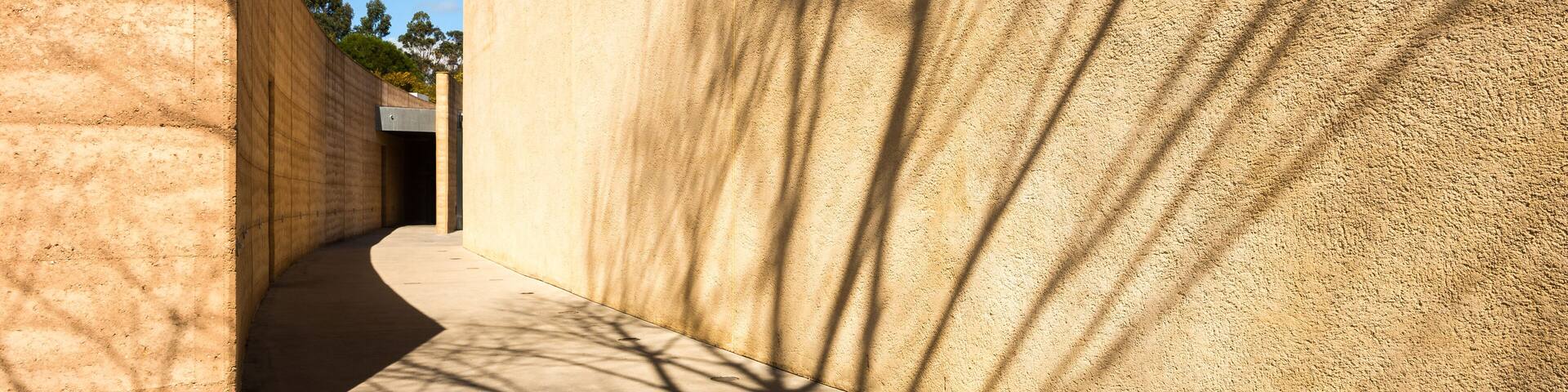 Tarrawarra - The Wall