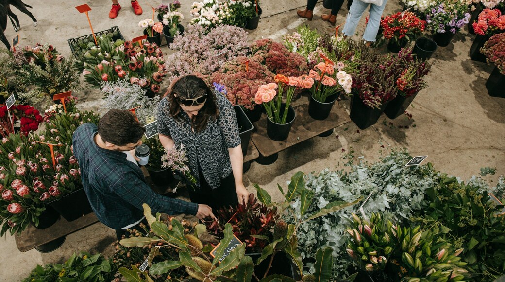 Carriageworks featuring flowers and markets as well as a couple