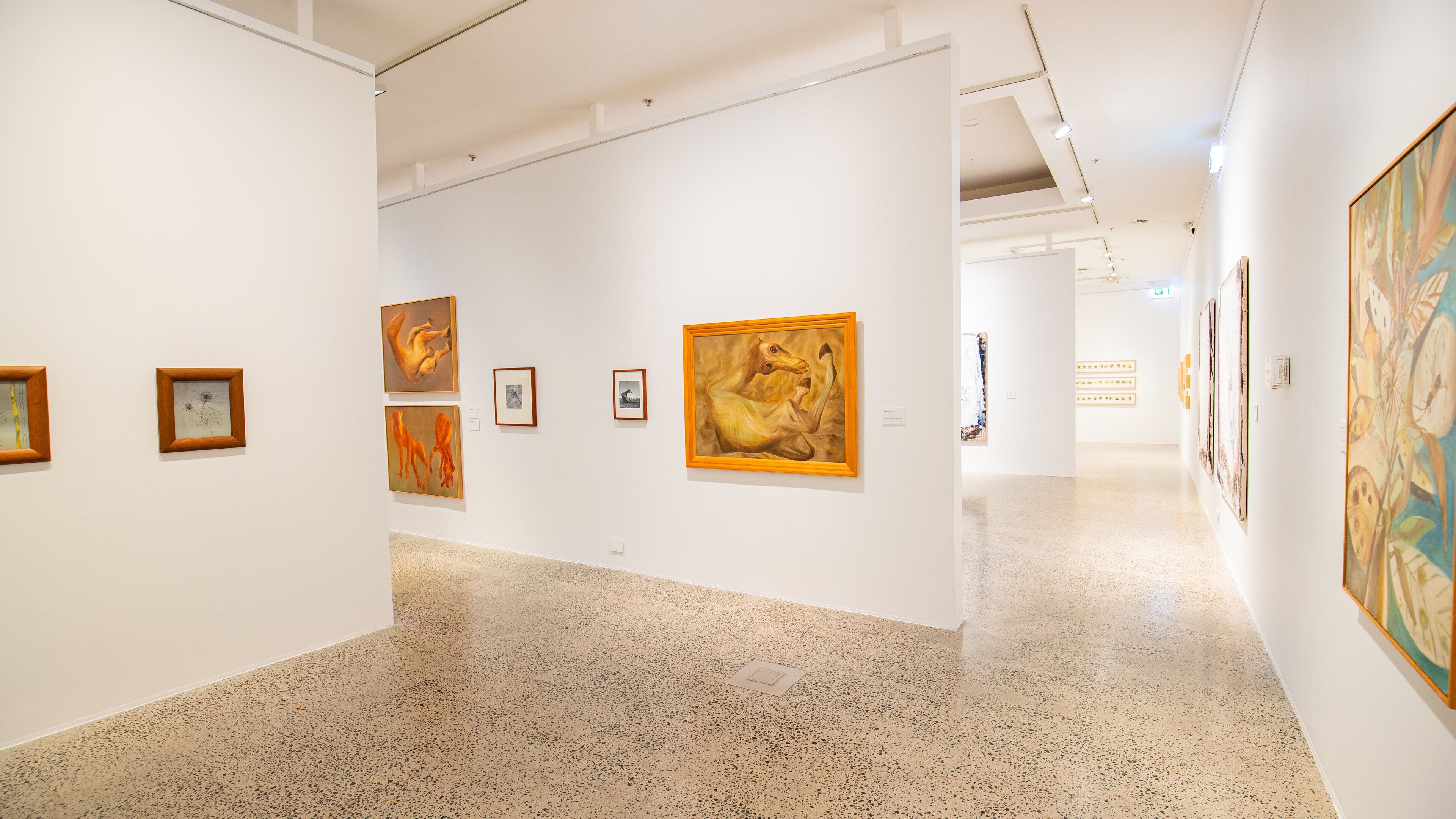 Bathurst Regional Art Gallery showing interior views and art