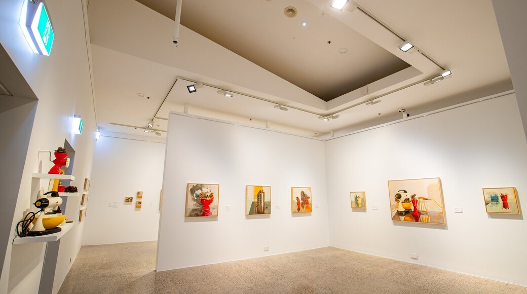 Bathurst Regional Art Gallery showing interior views and art