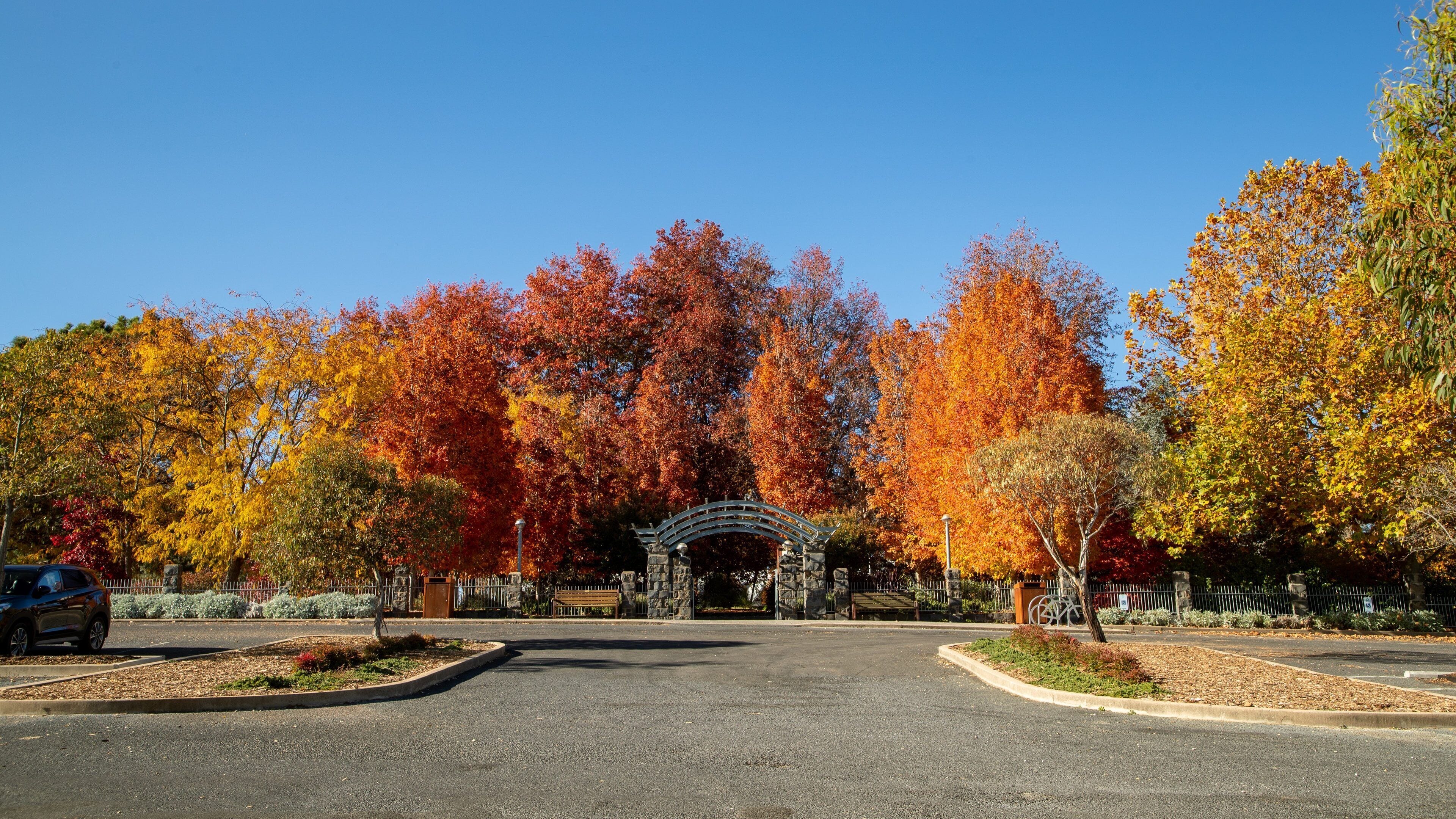 Orange Botanic Gardens showing fall colors